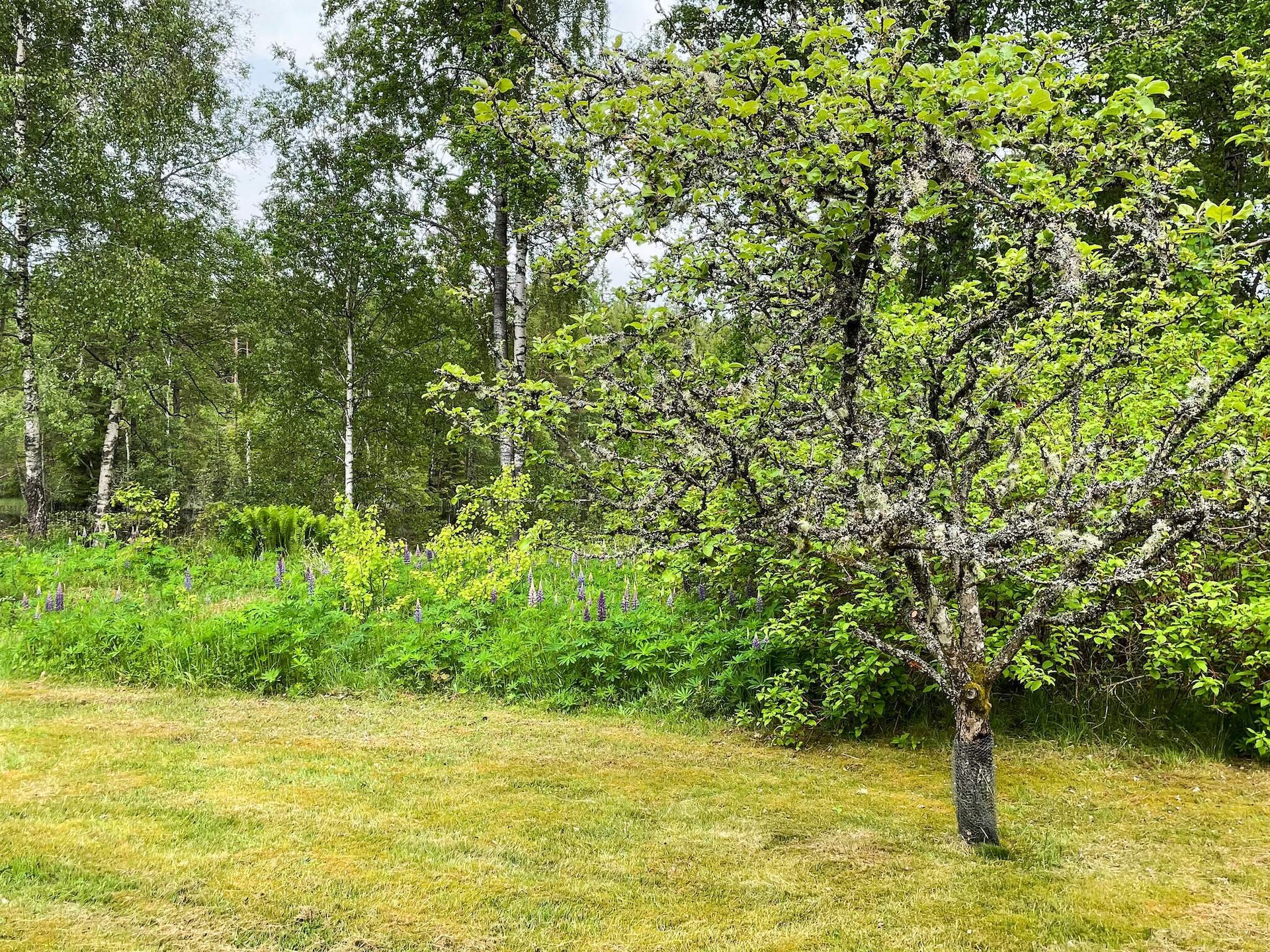 4-persoons vakantiehuis aan het water in Håcksvik - foto 9
