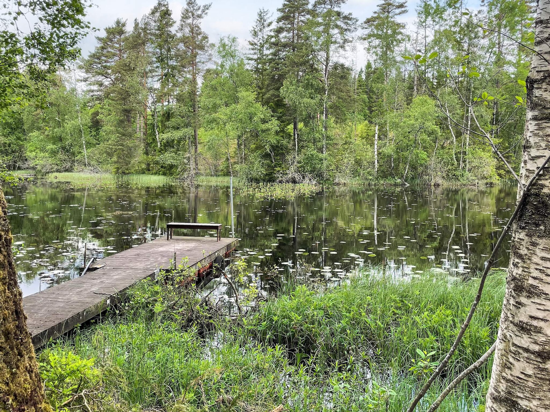 4-persoons vakantiehuis aan het water in Håcksvik - foto 24