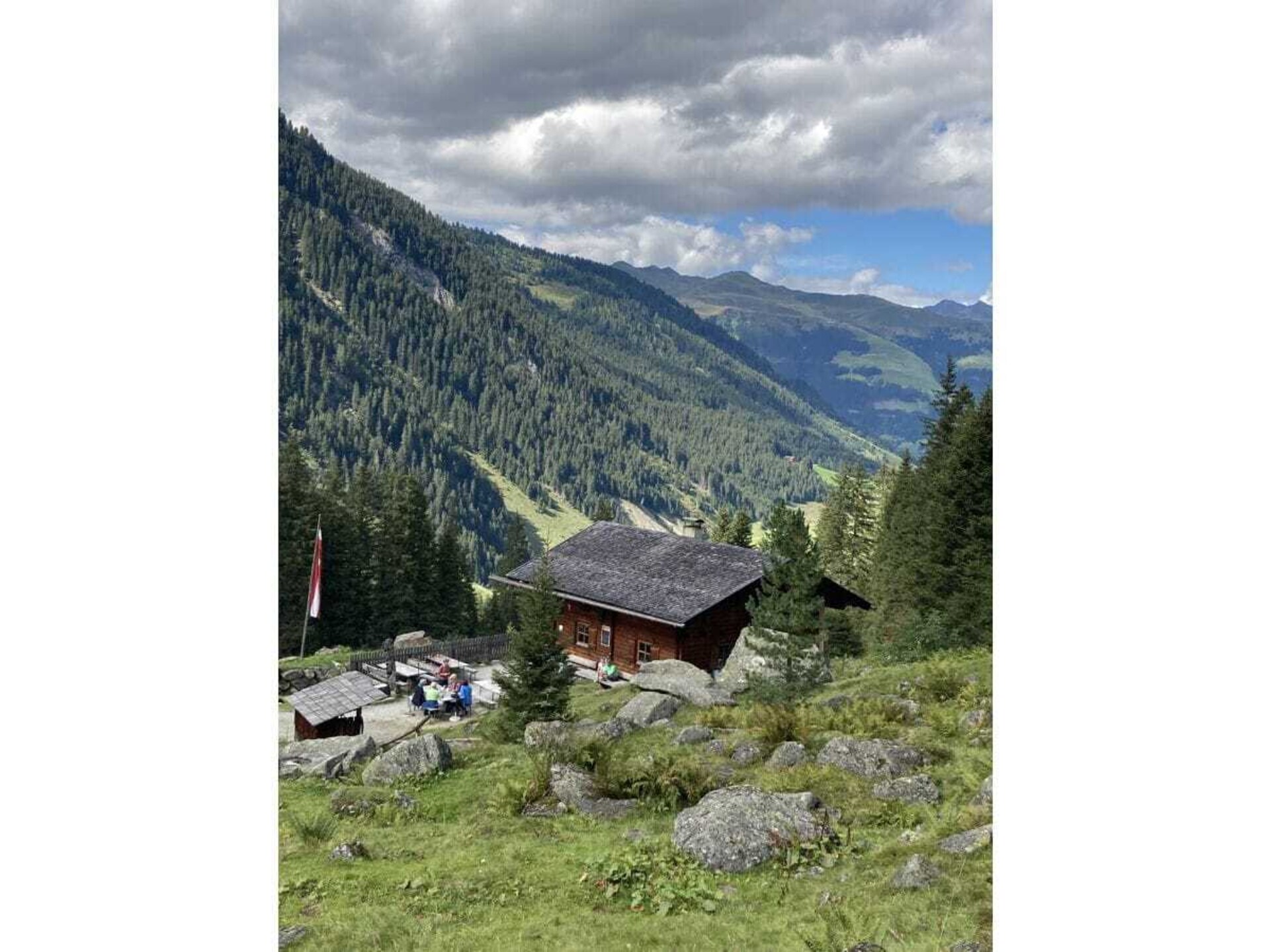 233129 - foto 37
