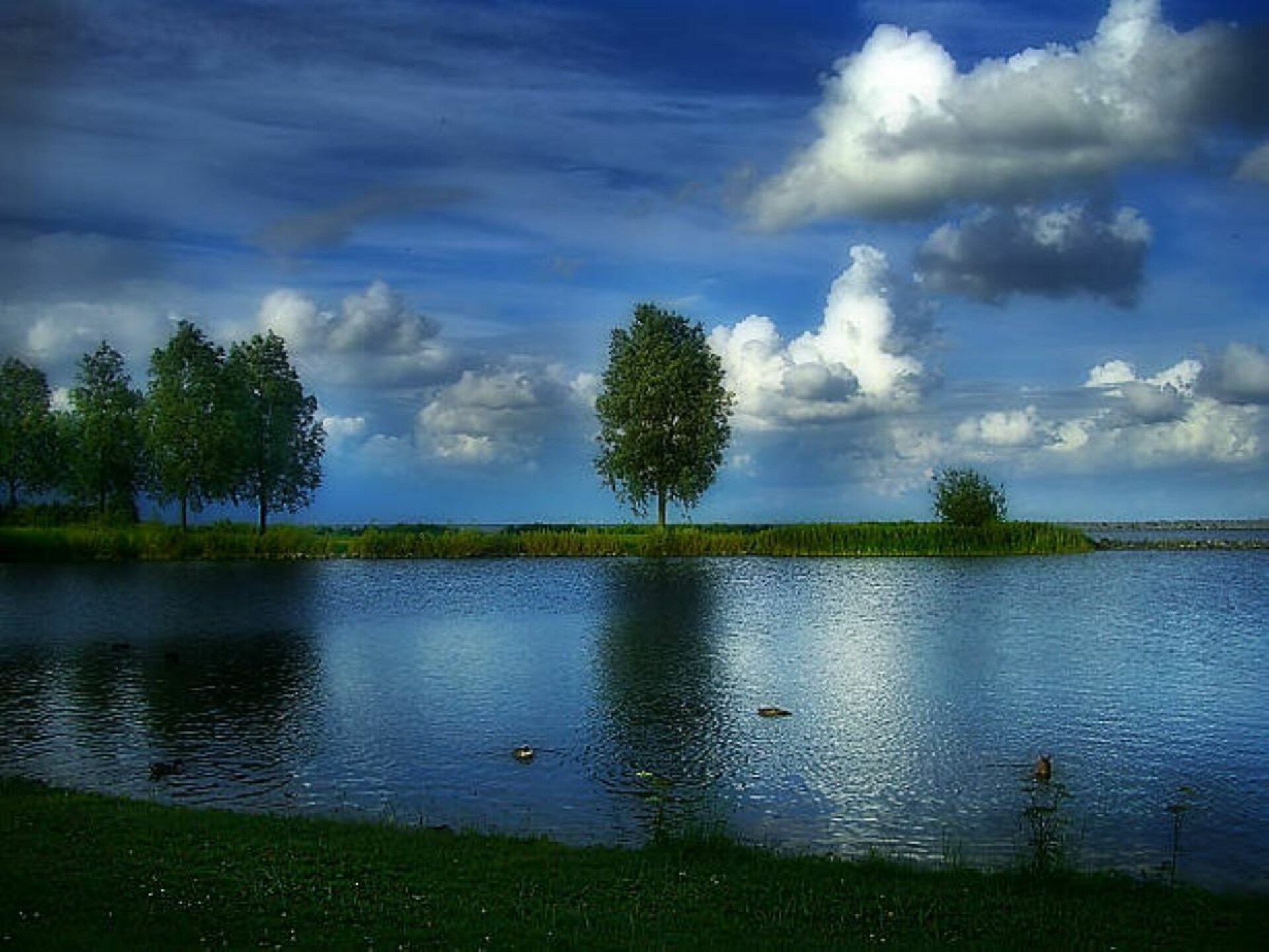 523753 - foto 32