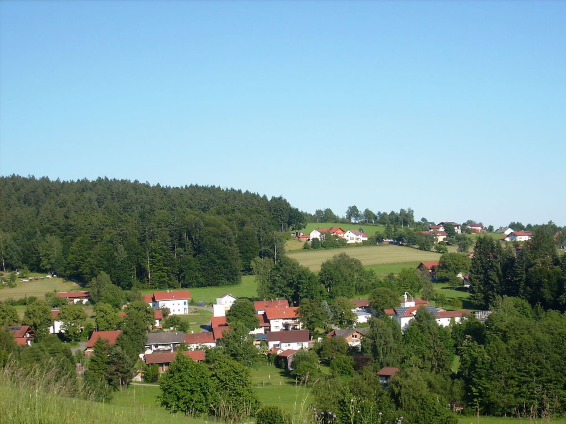 3851 - foto 11