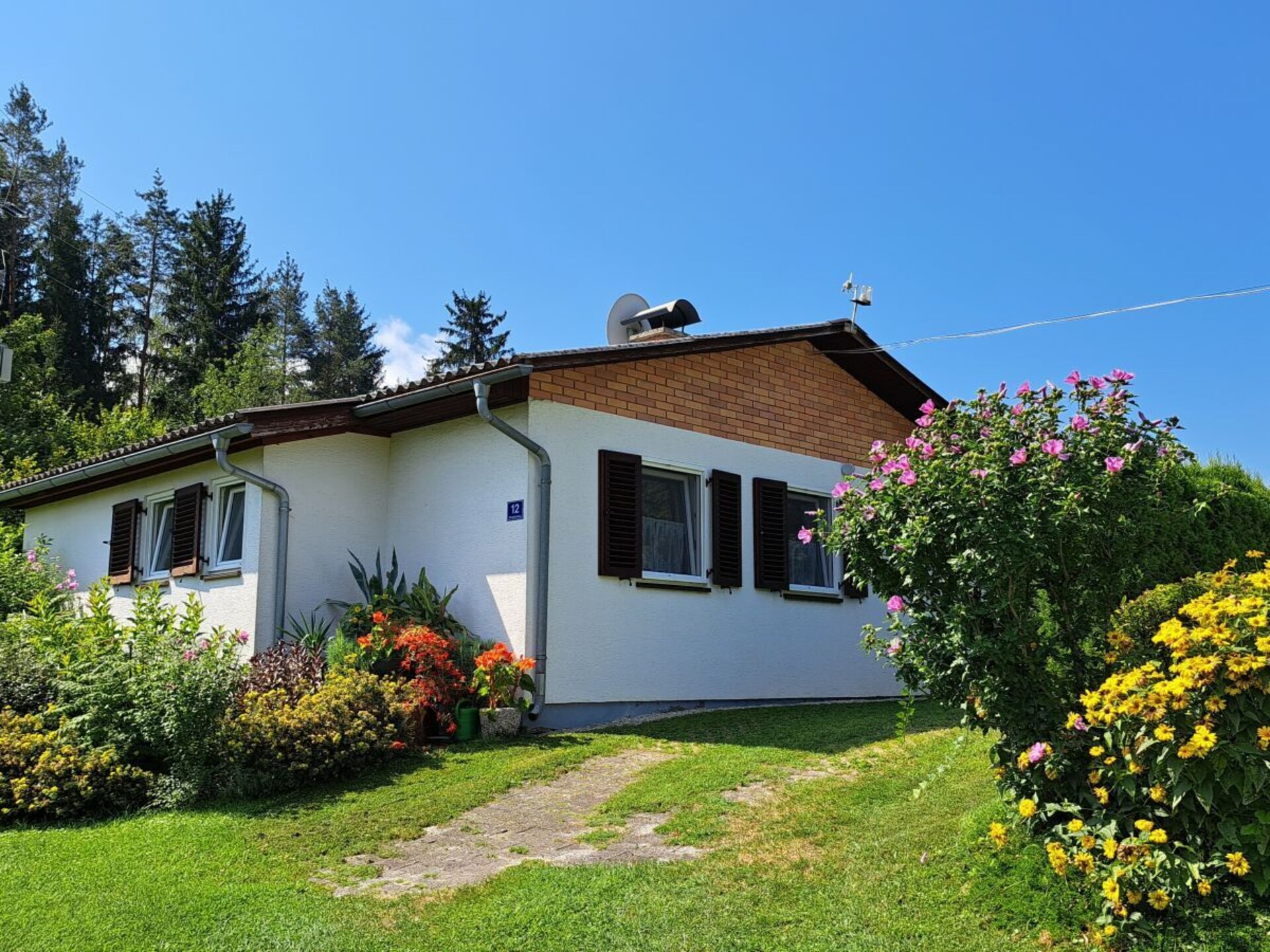 67627 - foto 2