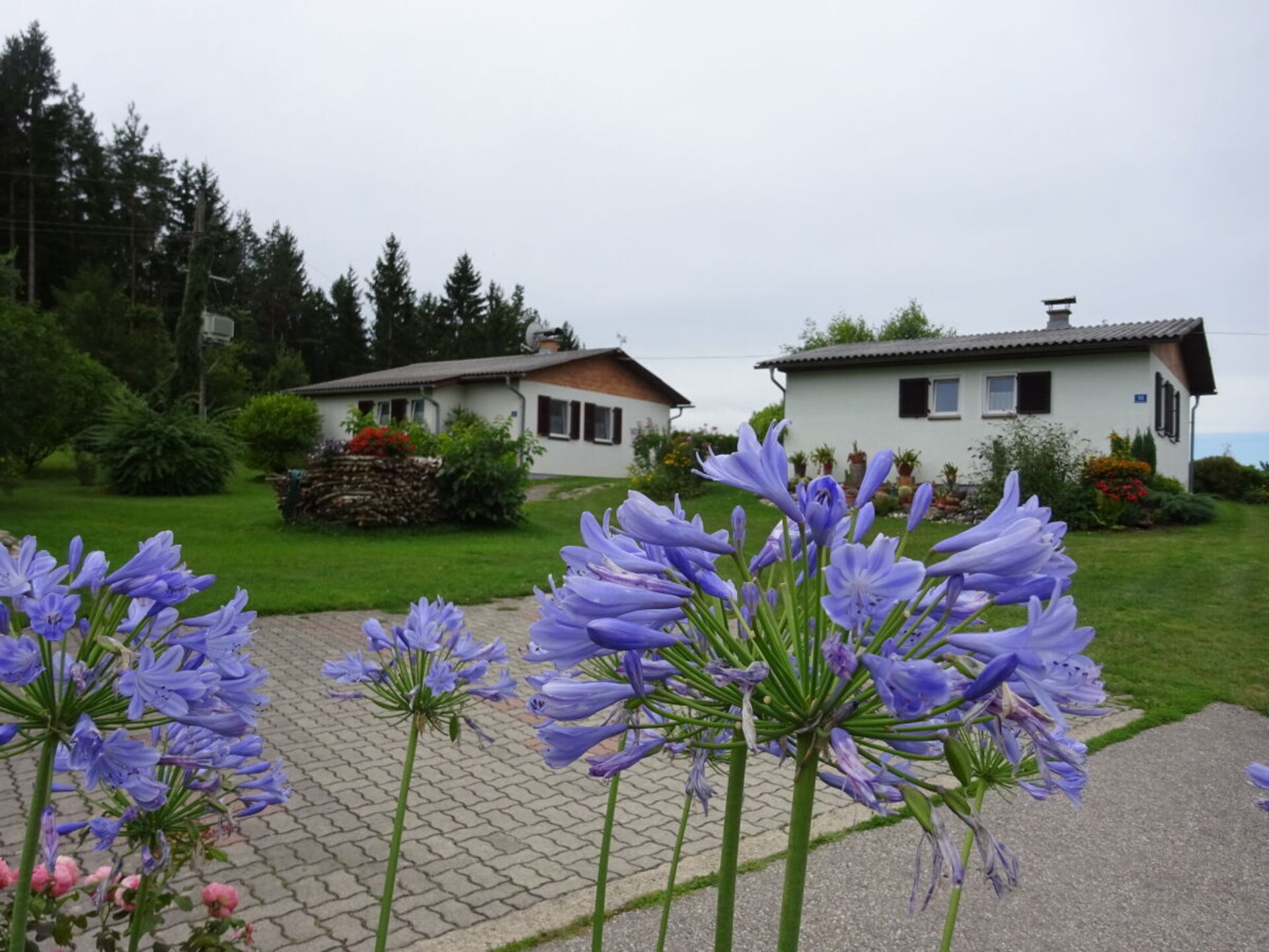67627 - foto 6