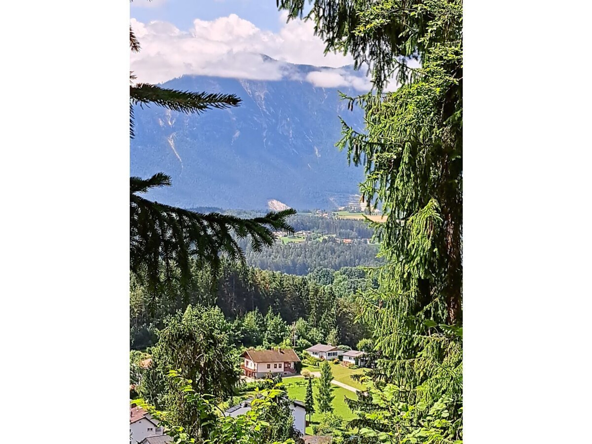 67627 - foto 20