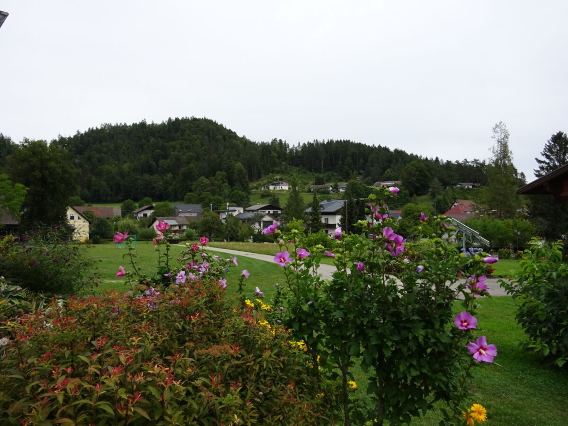 67627 - foto 38