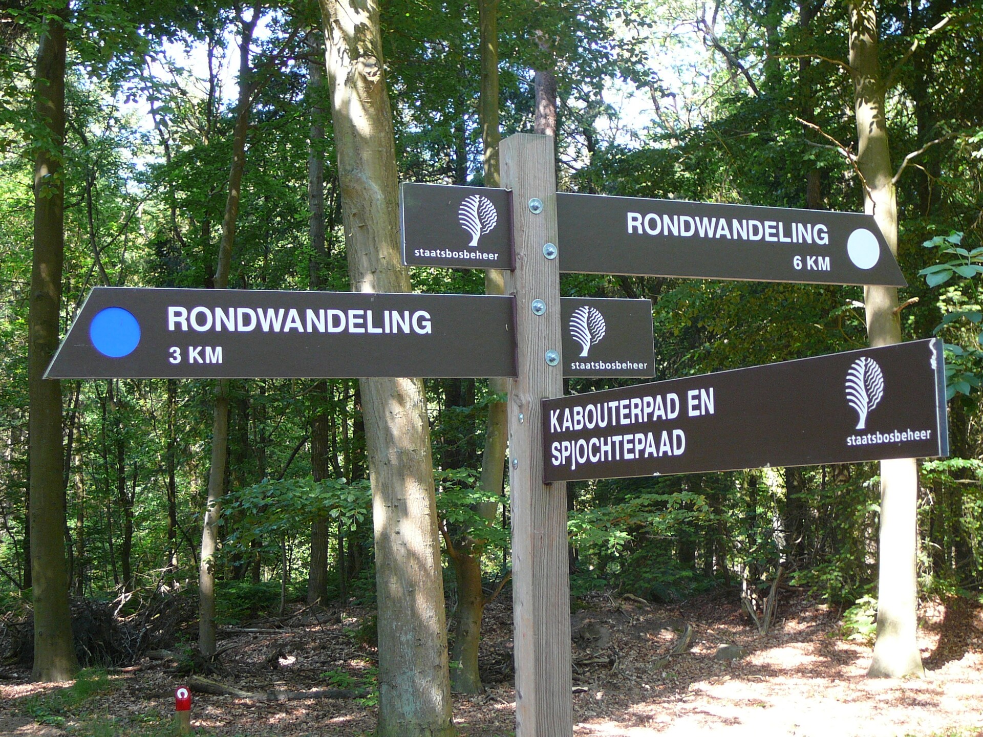 Vrijstaand boshuis De Meerkoet: natuur, comfort en huisdierplezier in Friesland - foto 22