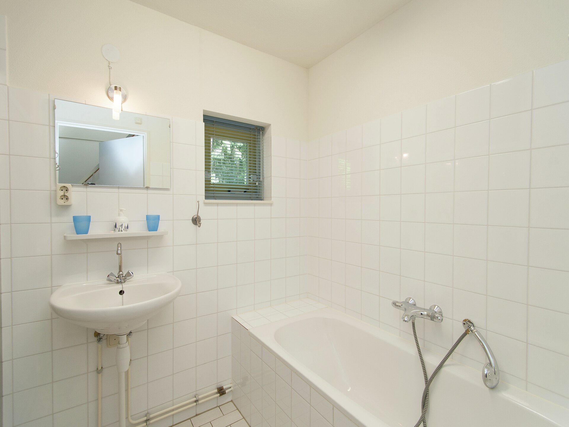 Vrijstaand boshuis De Meerkoet: natuur, comfort en huisdierplezier in Friesland - foto 15