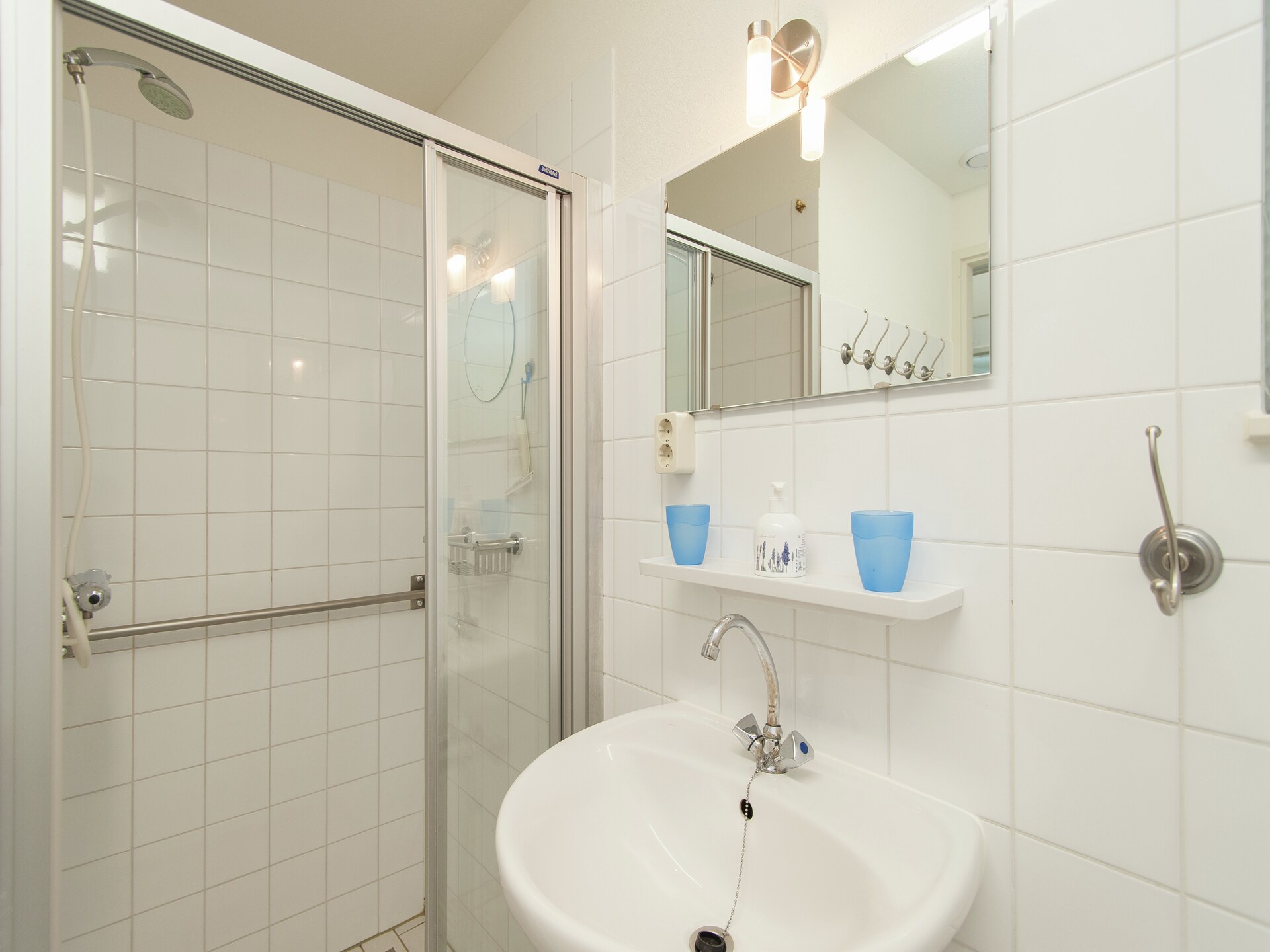 Vrijstaand boshuis De Meerkoet: natuur, comfort en huisdierplezier in Friesland - foto 16