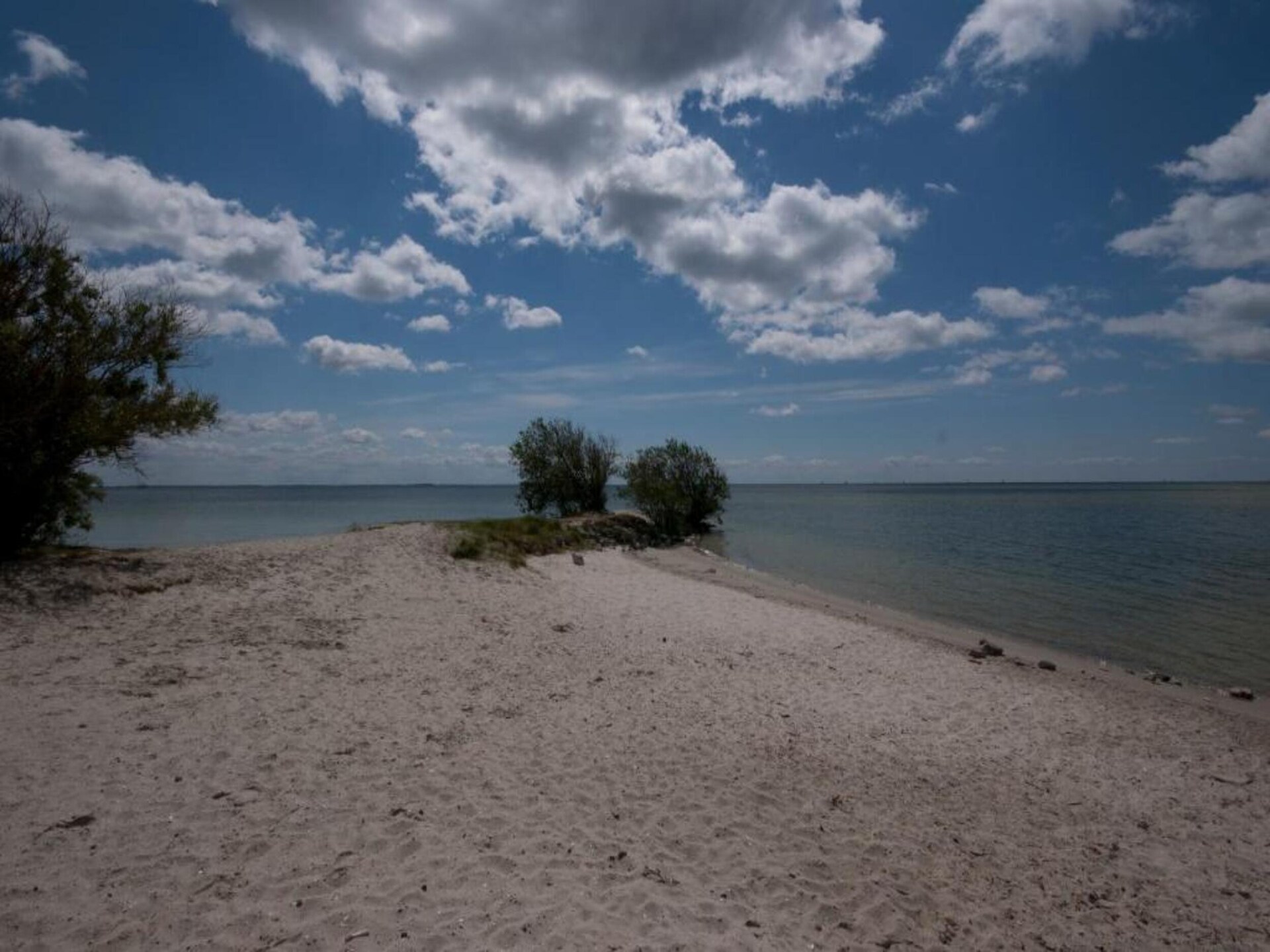 Vrijstaand boshuis De Meerkoet: natuur, comfort en huisdierplezier in Friesland - foto 28