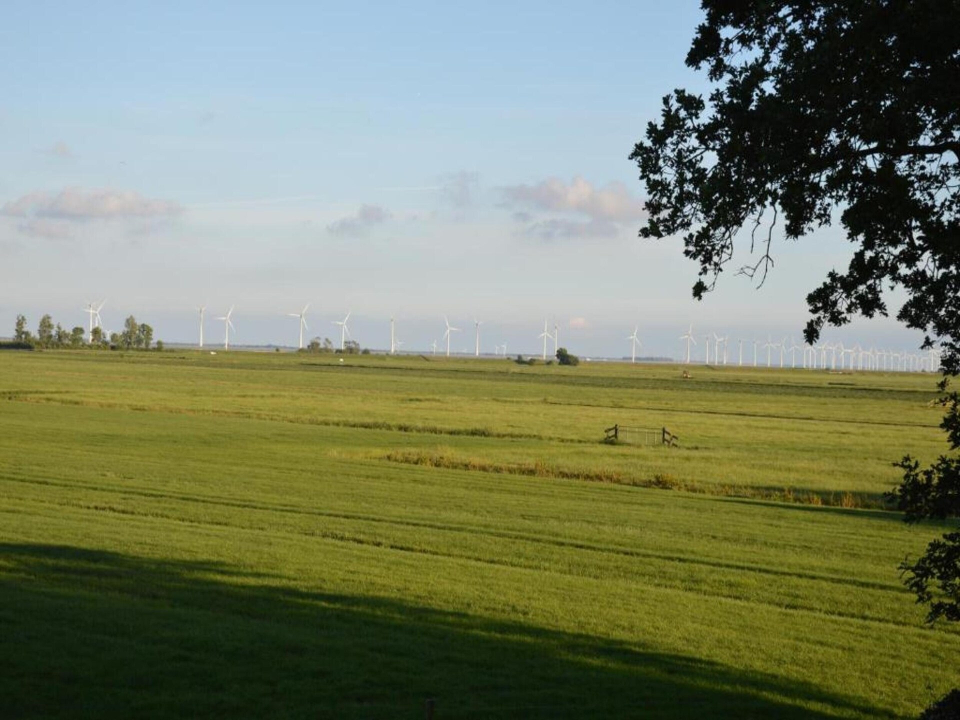 Vrijstaand boshuis De Meerkoet: natuur, comfort en huisdierplezier in Friesland - foto 32