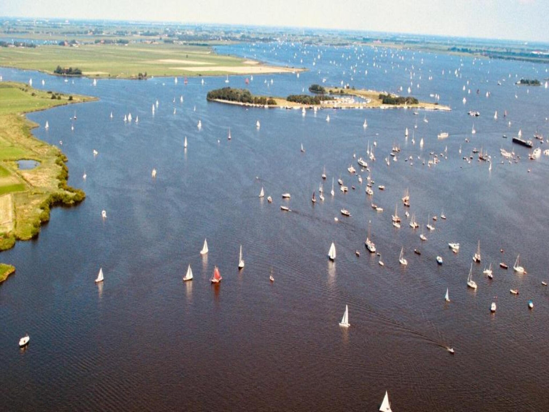 Vrijstaand boshuis De Meerkoet: natuur, comfort en huisdierplezier in Friesland - foto 35