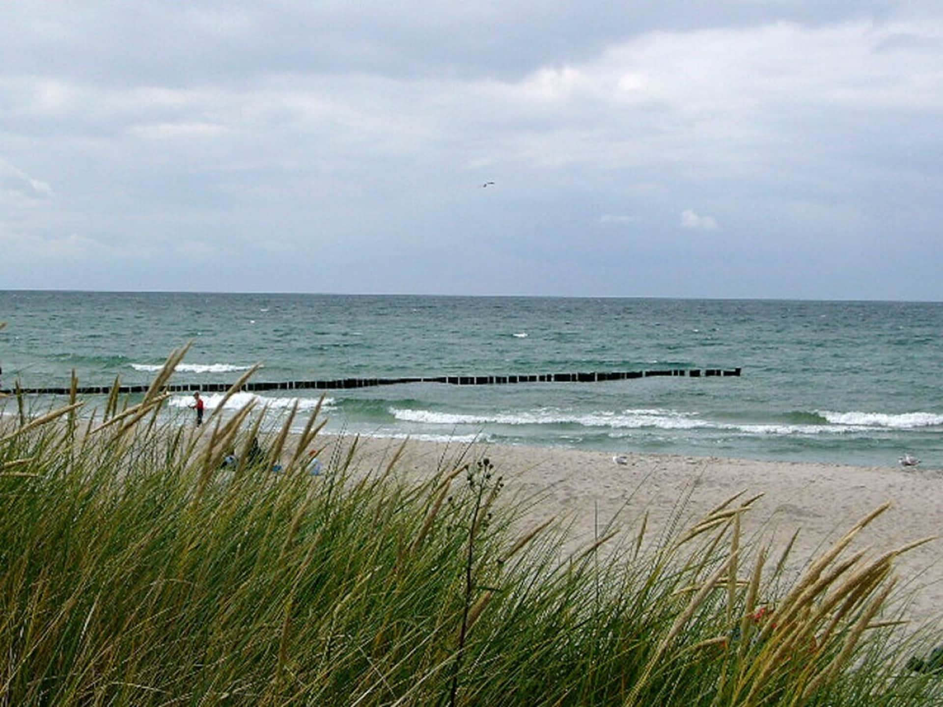22010 - foto 17