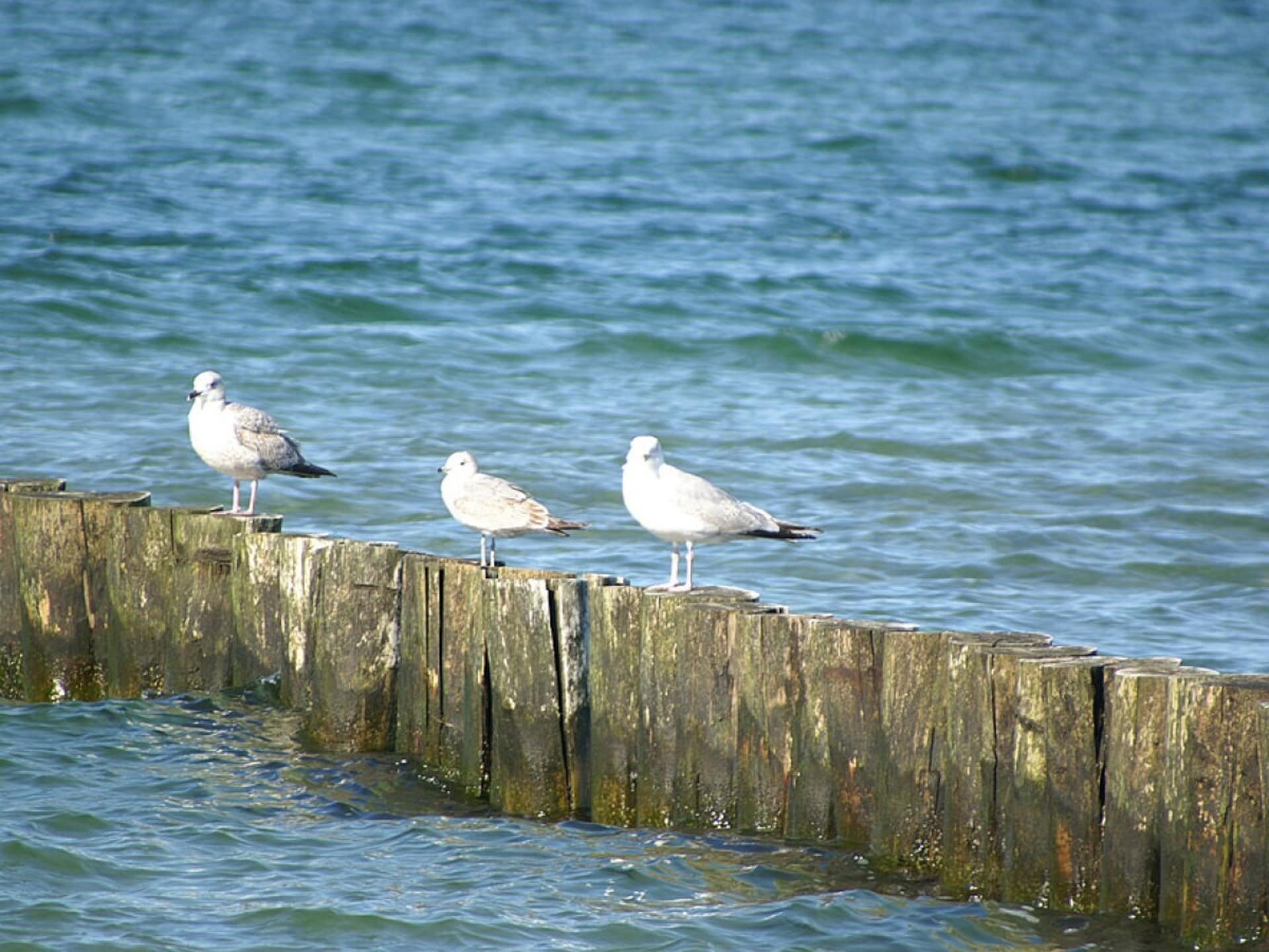 22010 - foto 20
