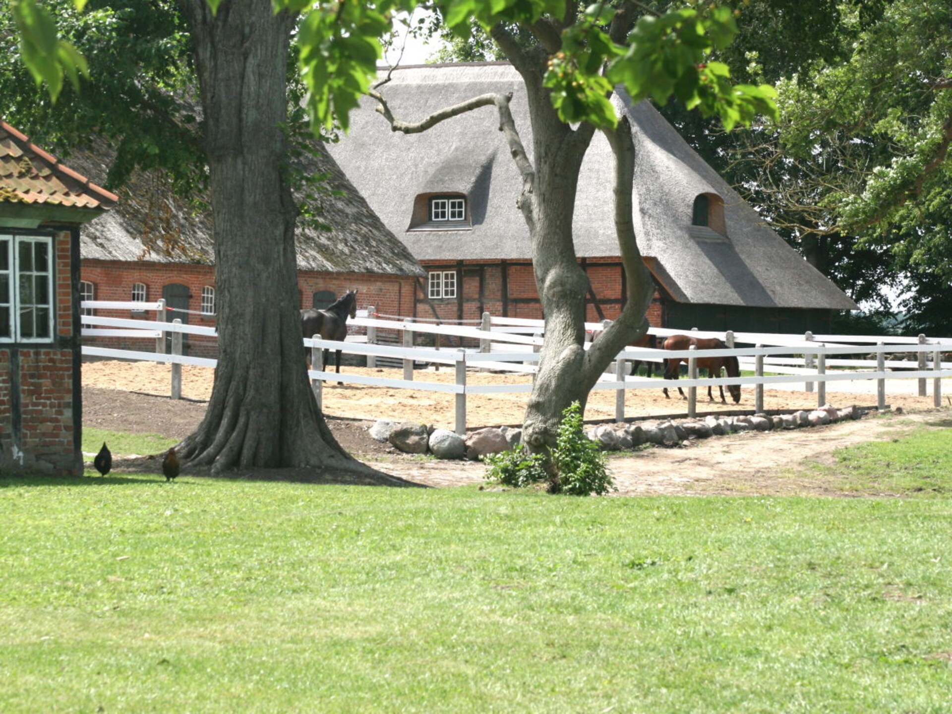 141854 - foto 2