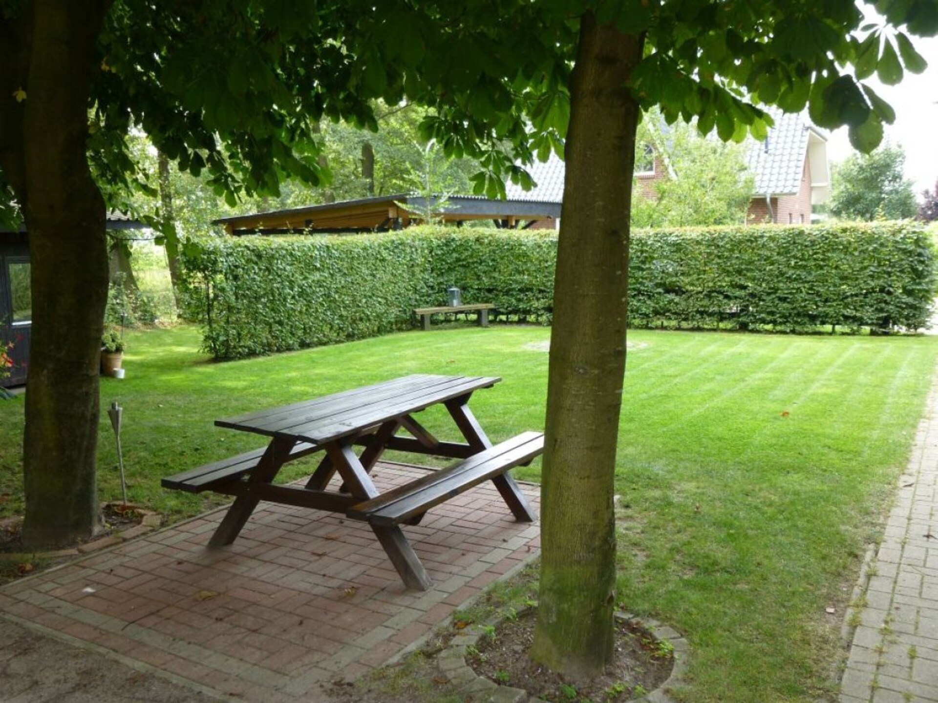 3709 - foto 5