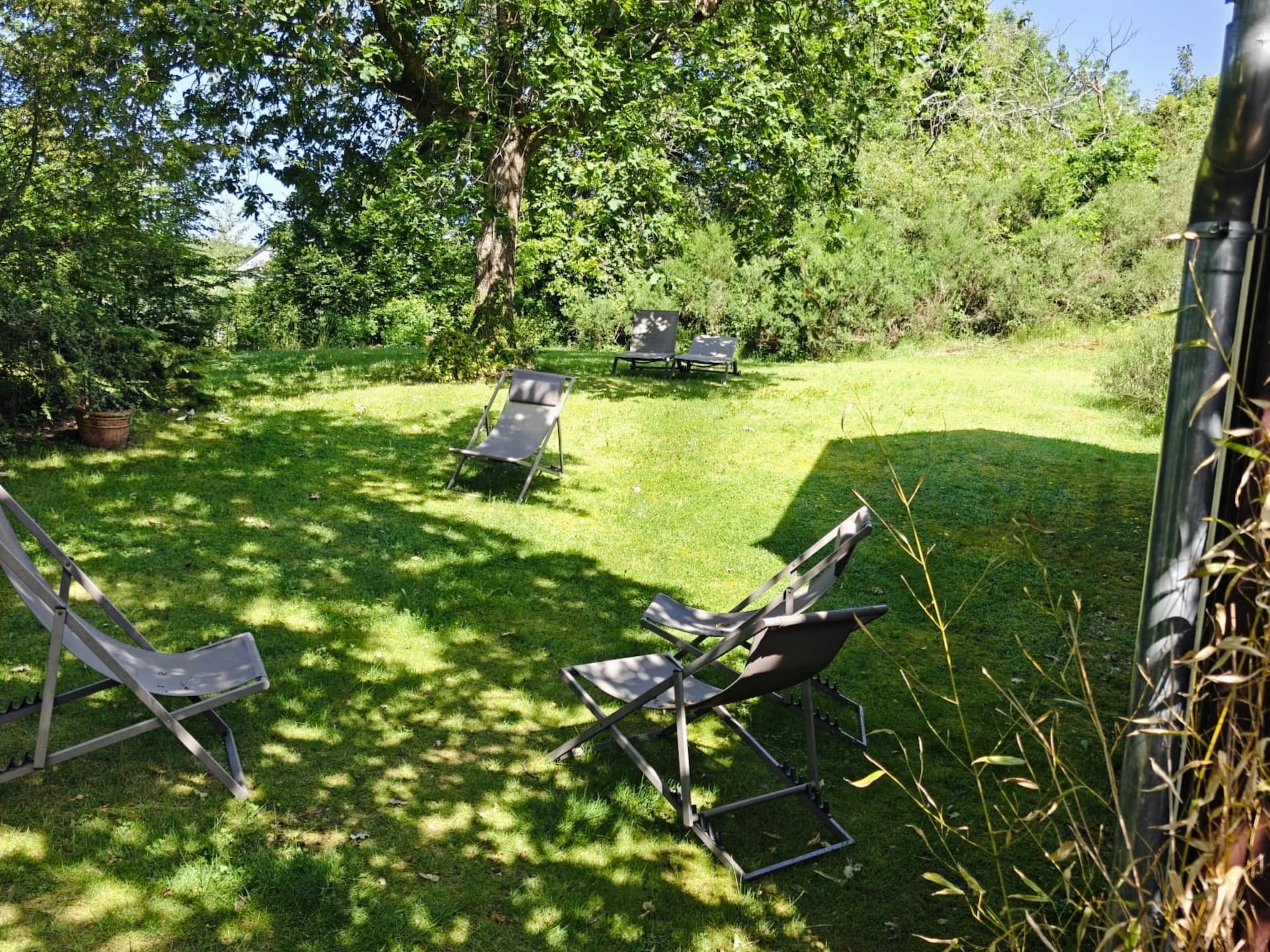 Les Bambous - foto 27