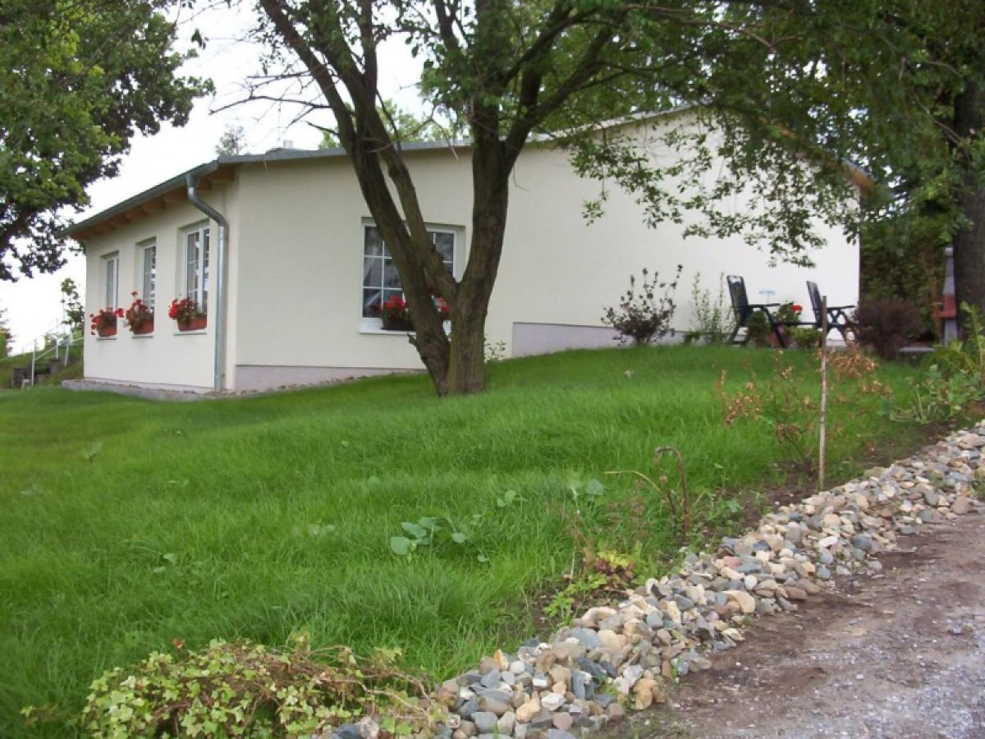36689 - foto 1