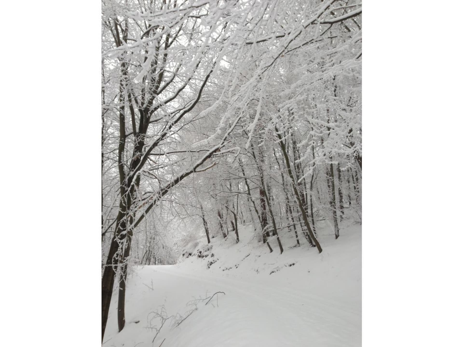 36689 - foto 16