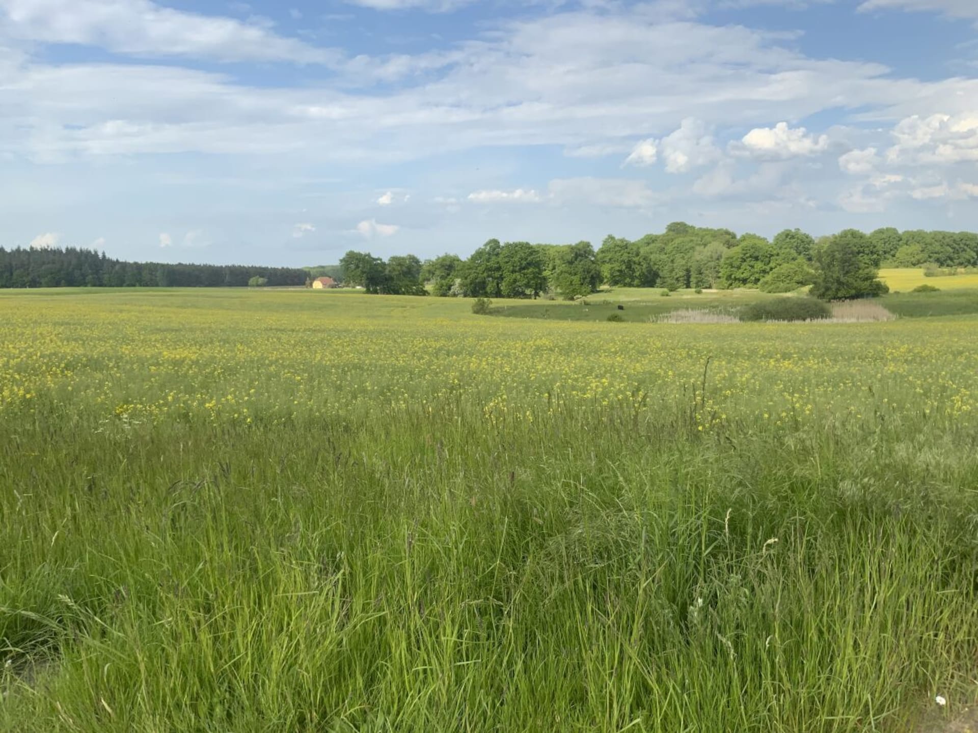 58776 - foto 31