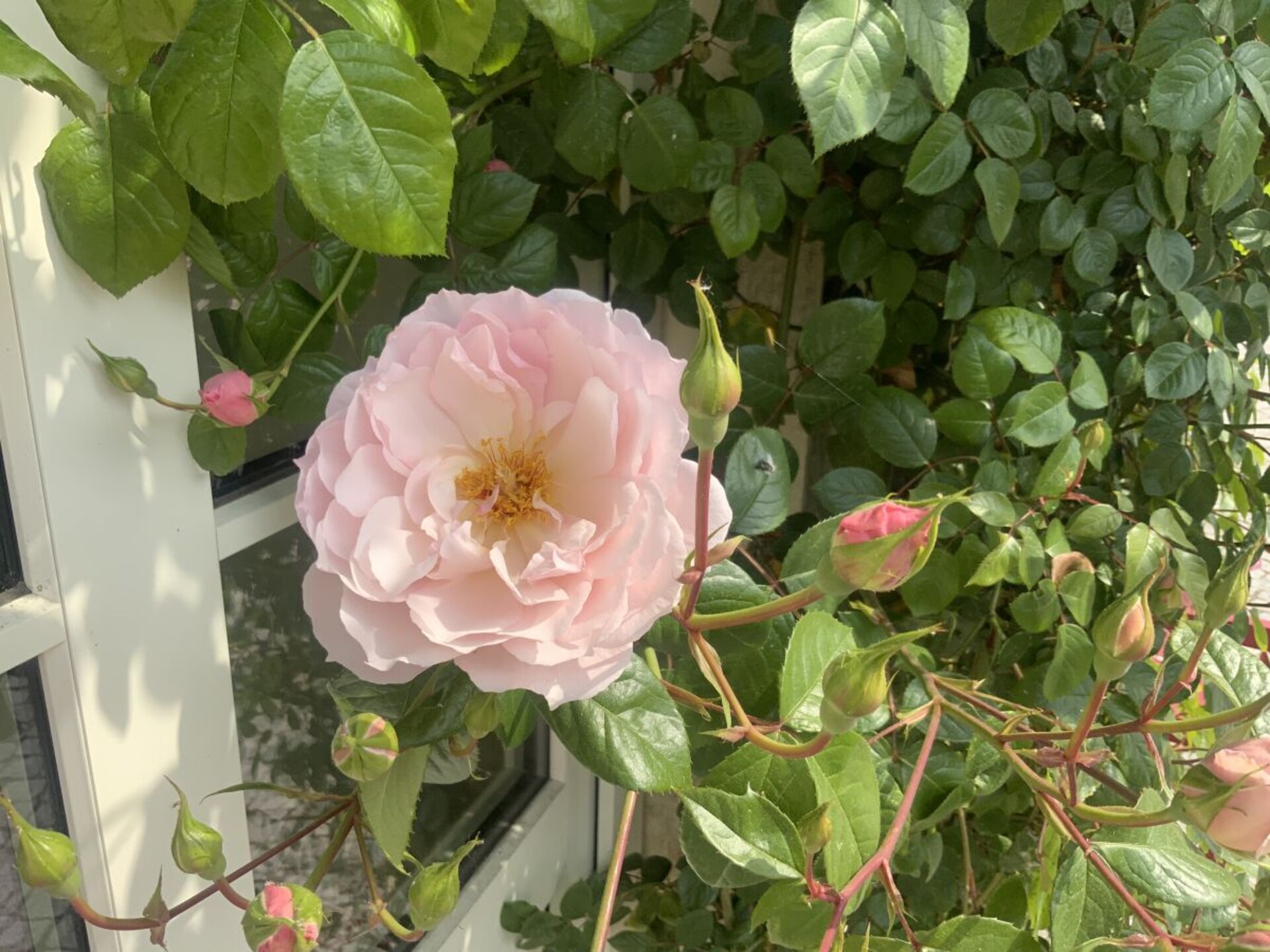 58776 - foto 33