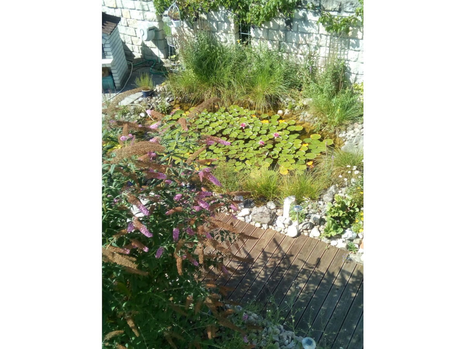 309981 - foto 6