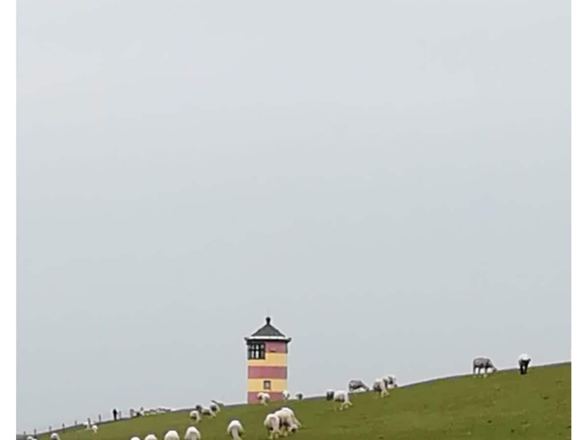 635510 - foto 14