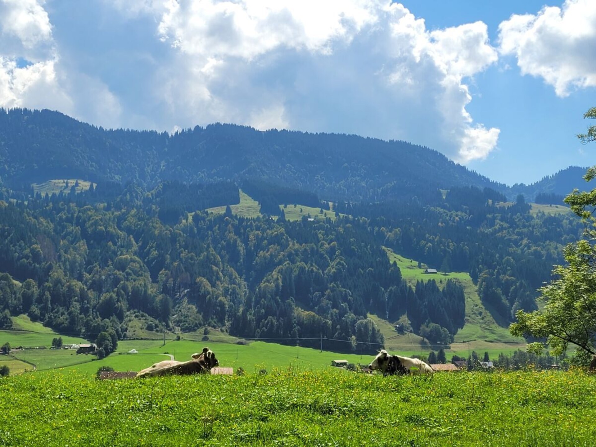 297766 - foto 30