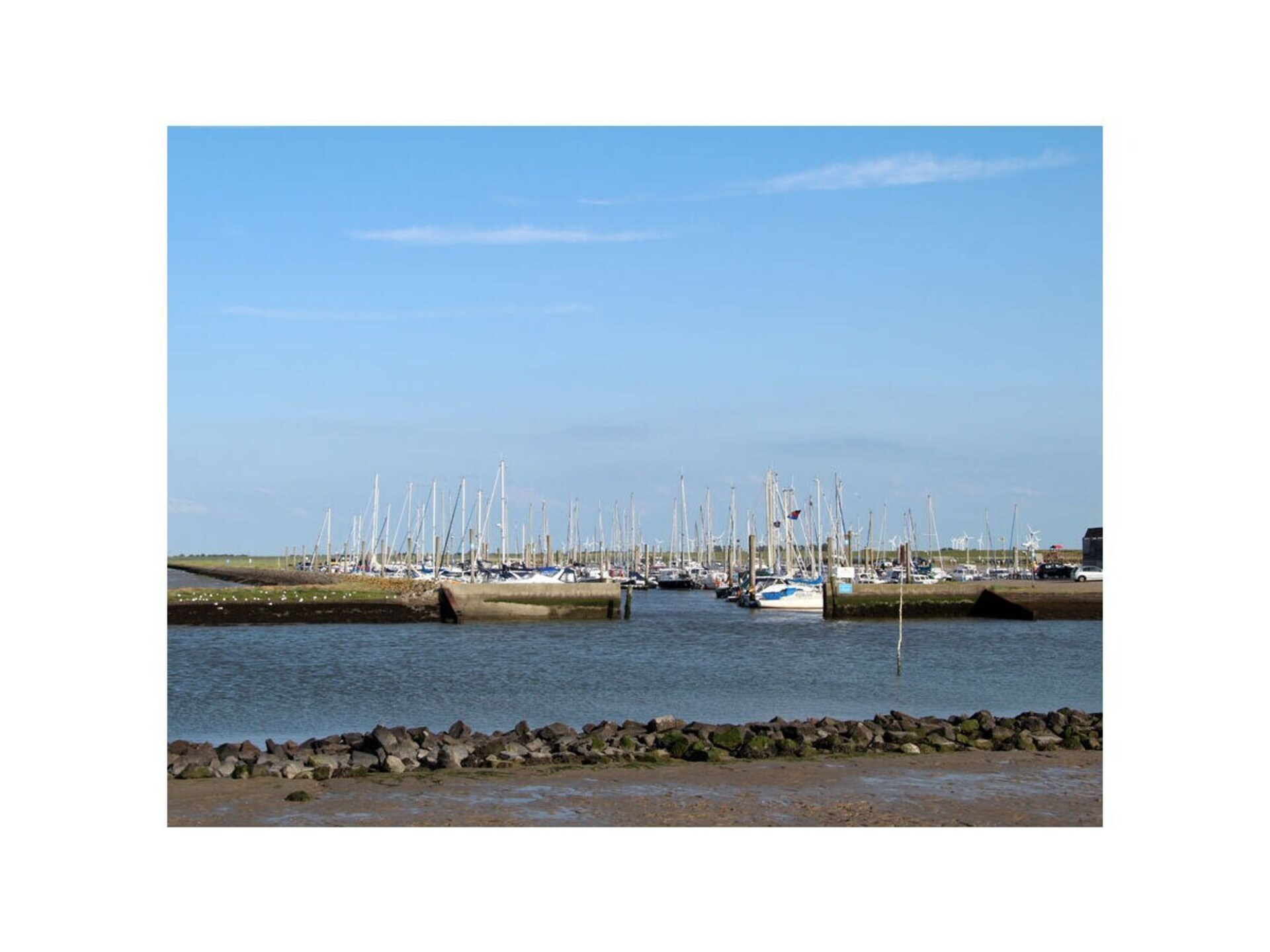 285029 - foto 17