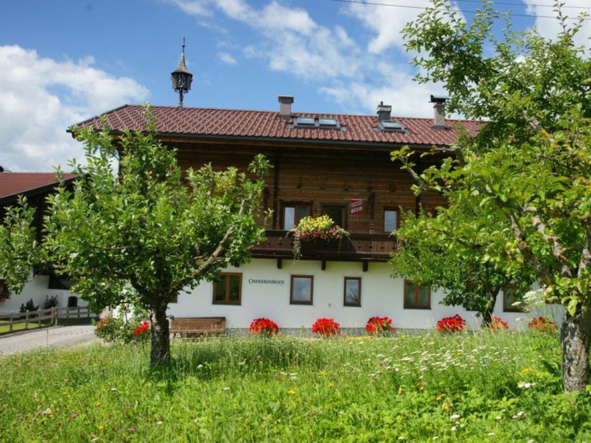65918 - foto 2
