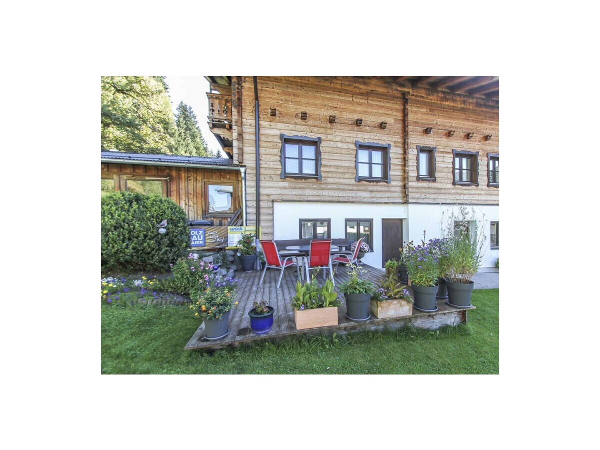 65918 - foto 3