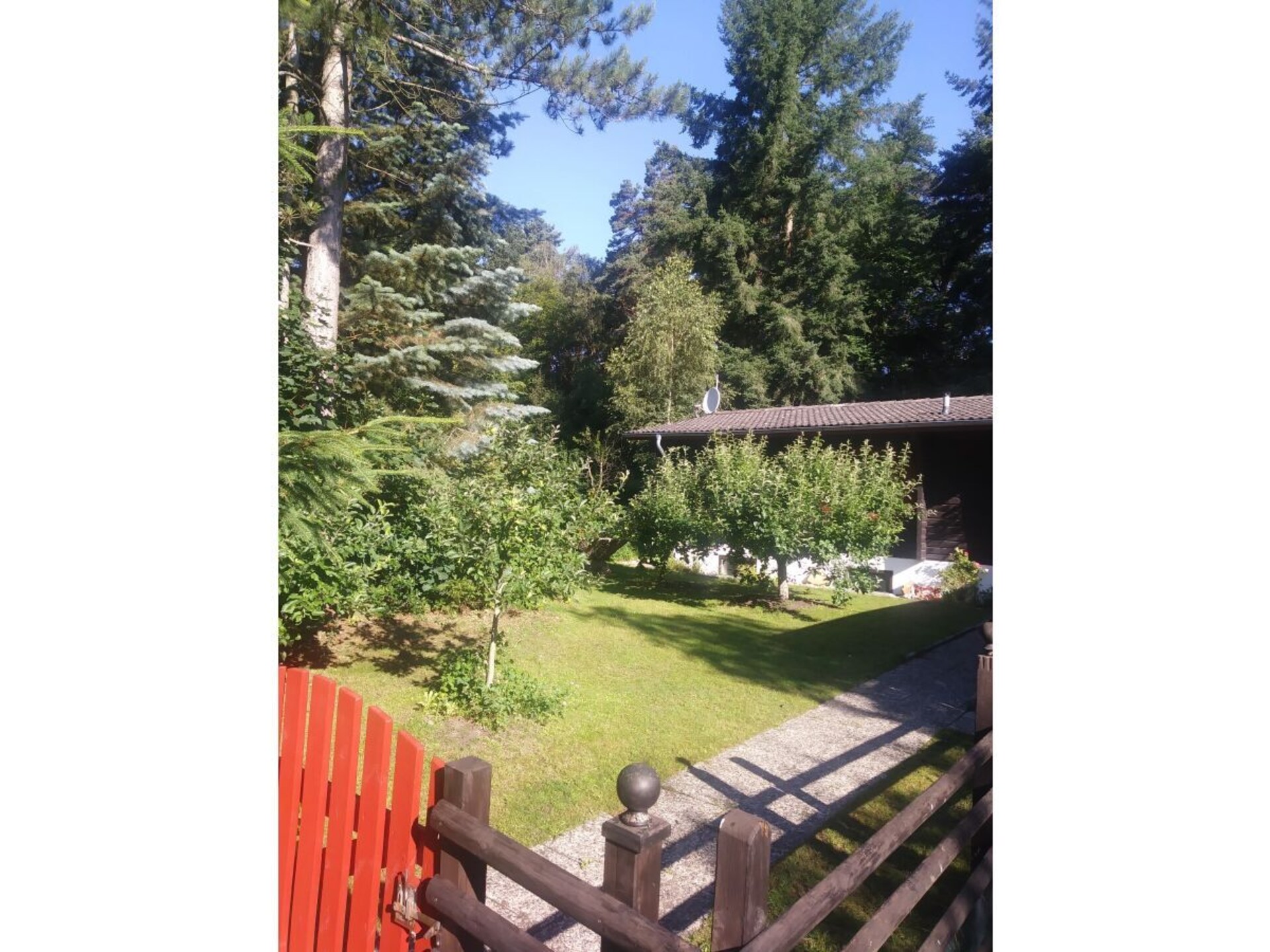 53231 - foto 11