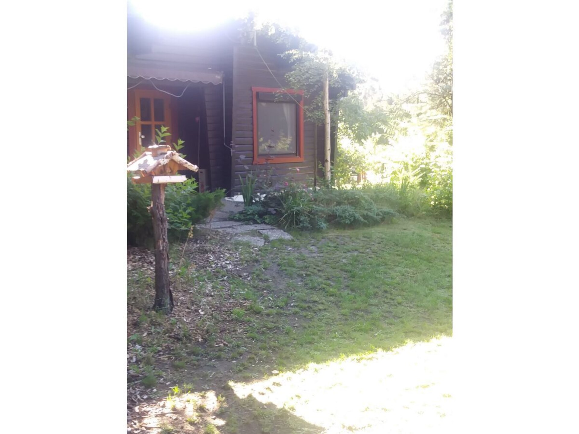 53231 - foto 12