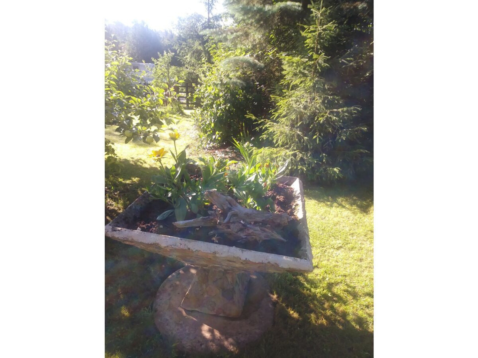 53231 - foto 16