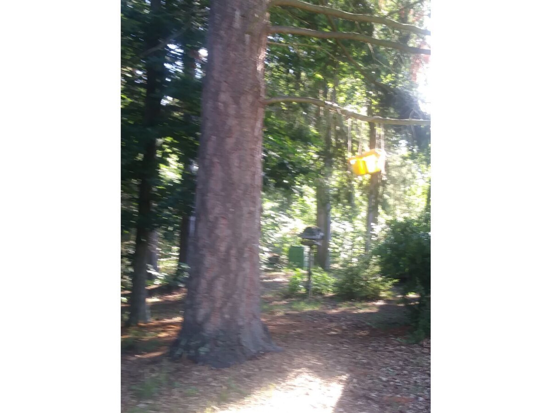 53231 - foto 19