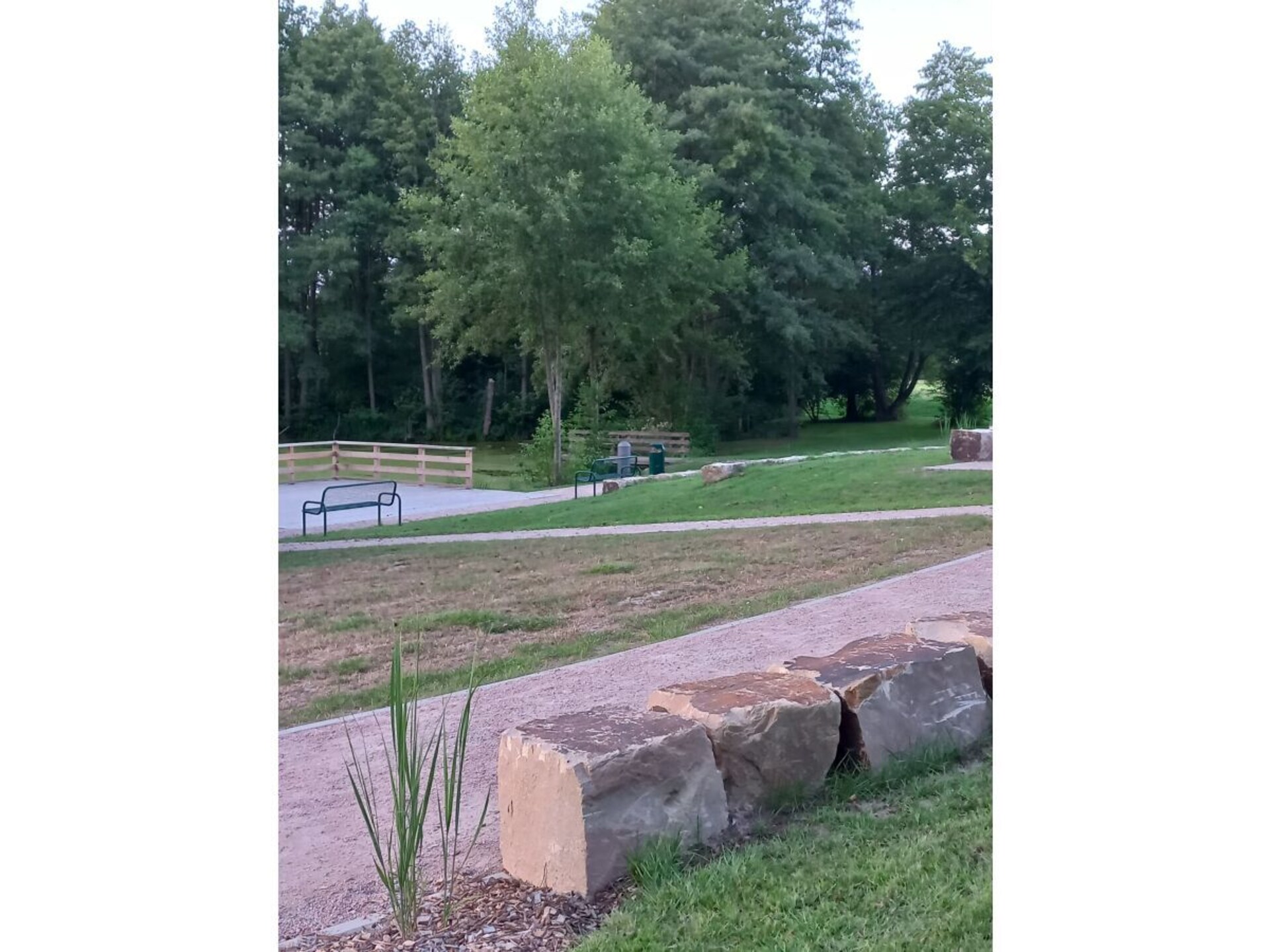 53231 - foto 21