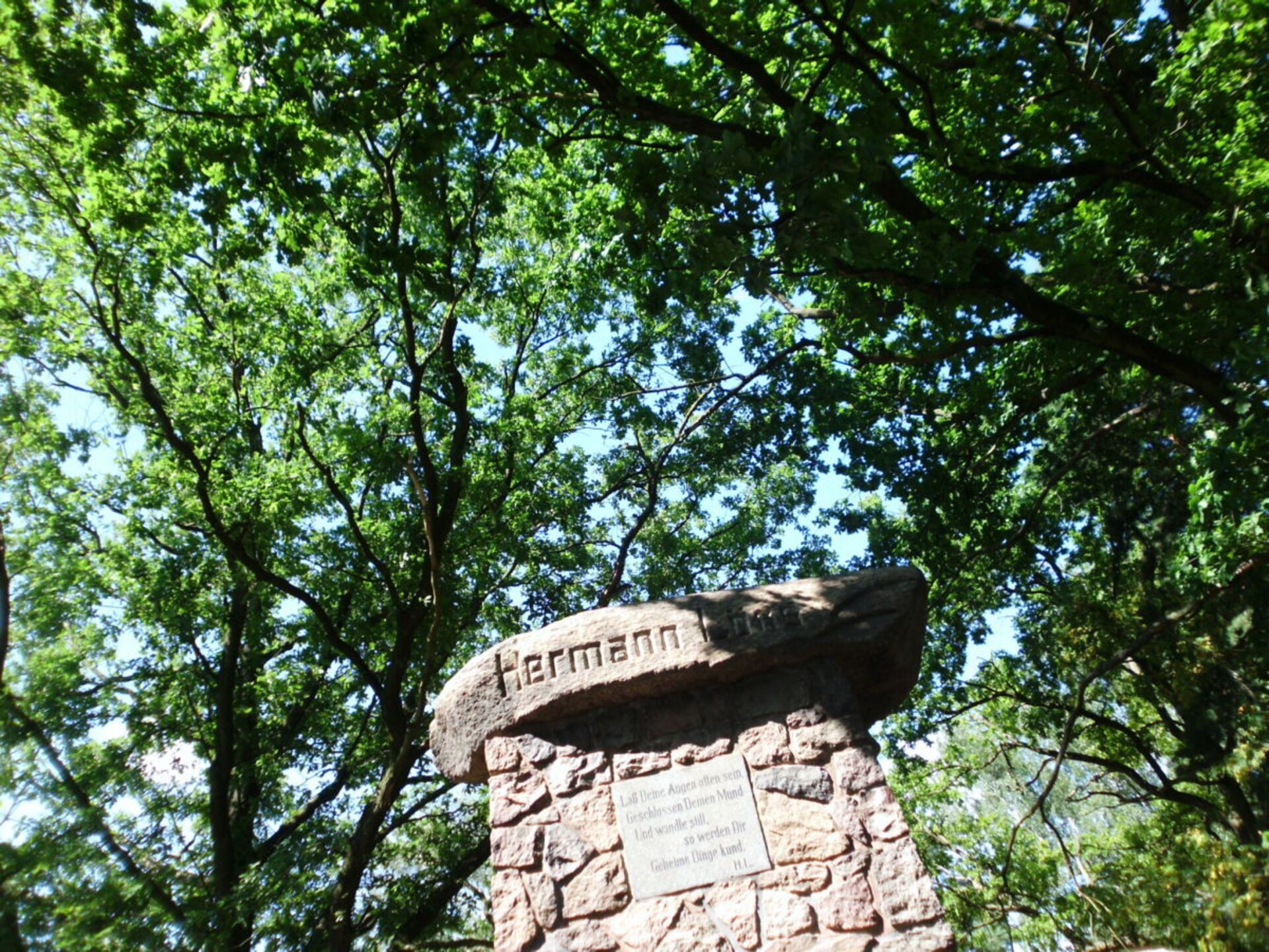 53231 - foto 30