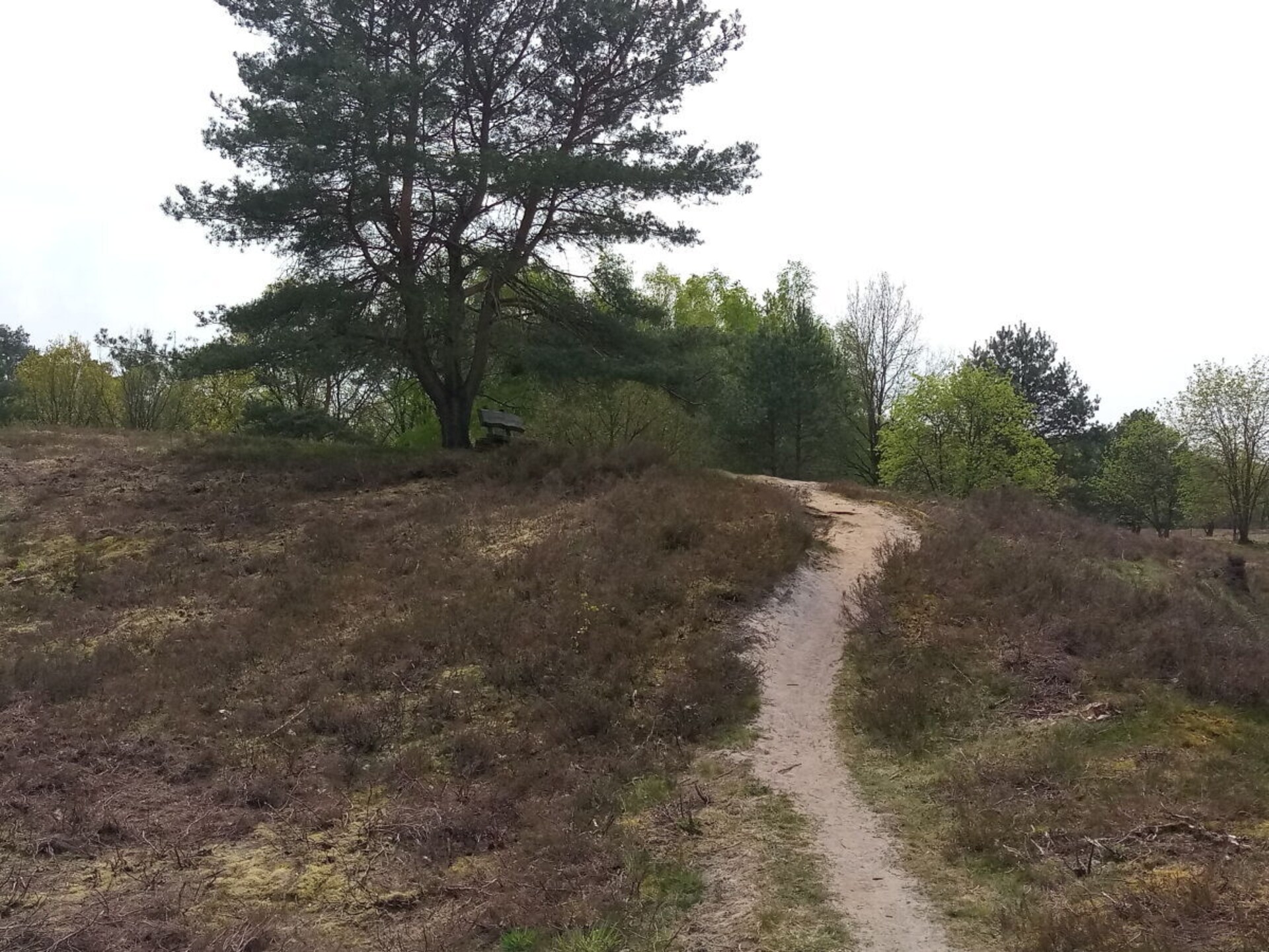 53231 - foto 36