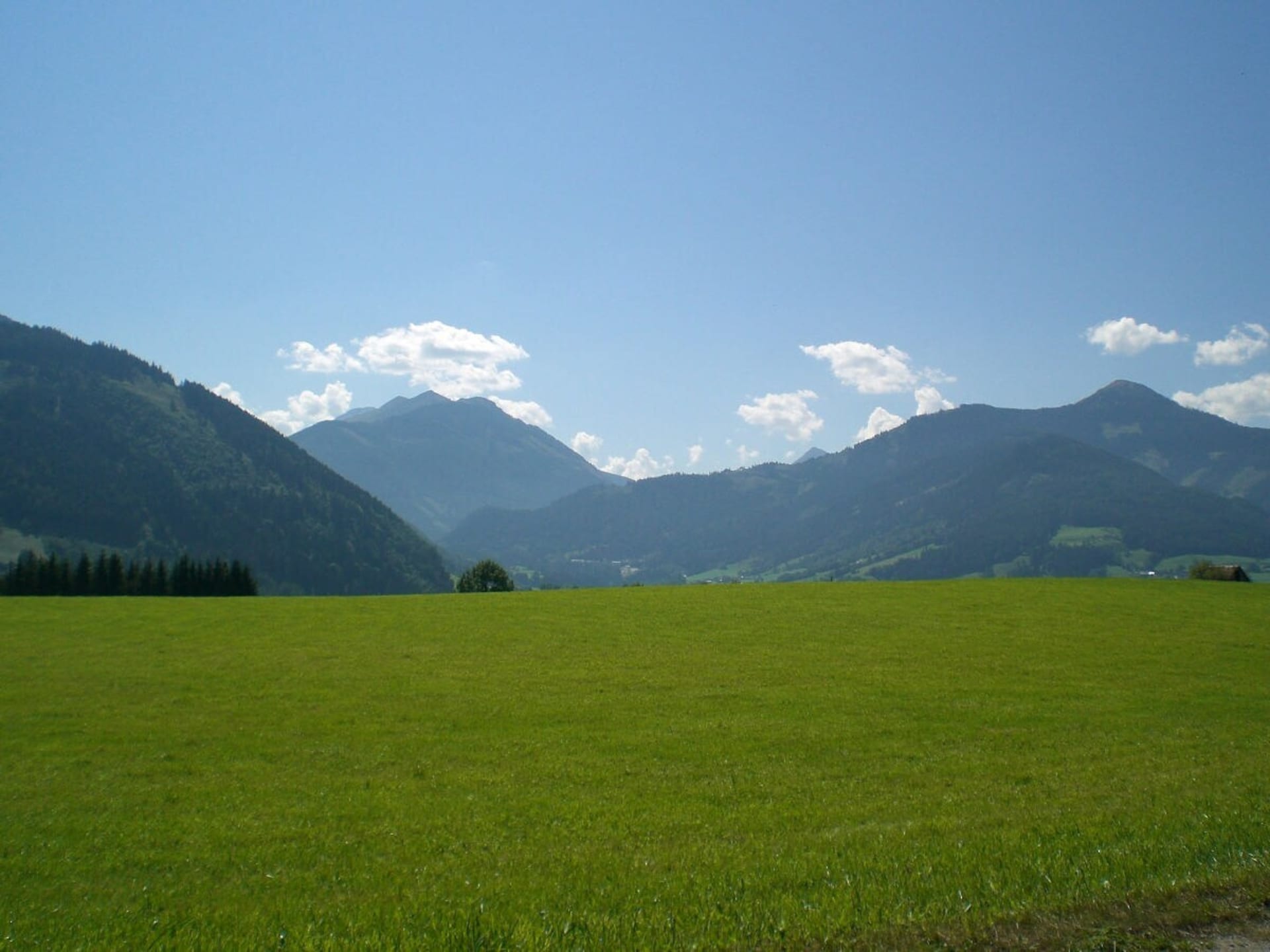35833 - foto 15