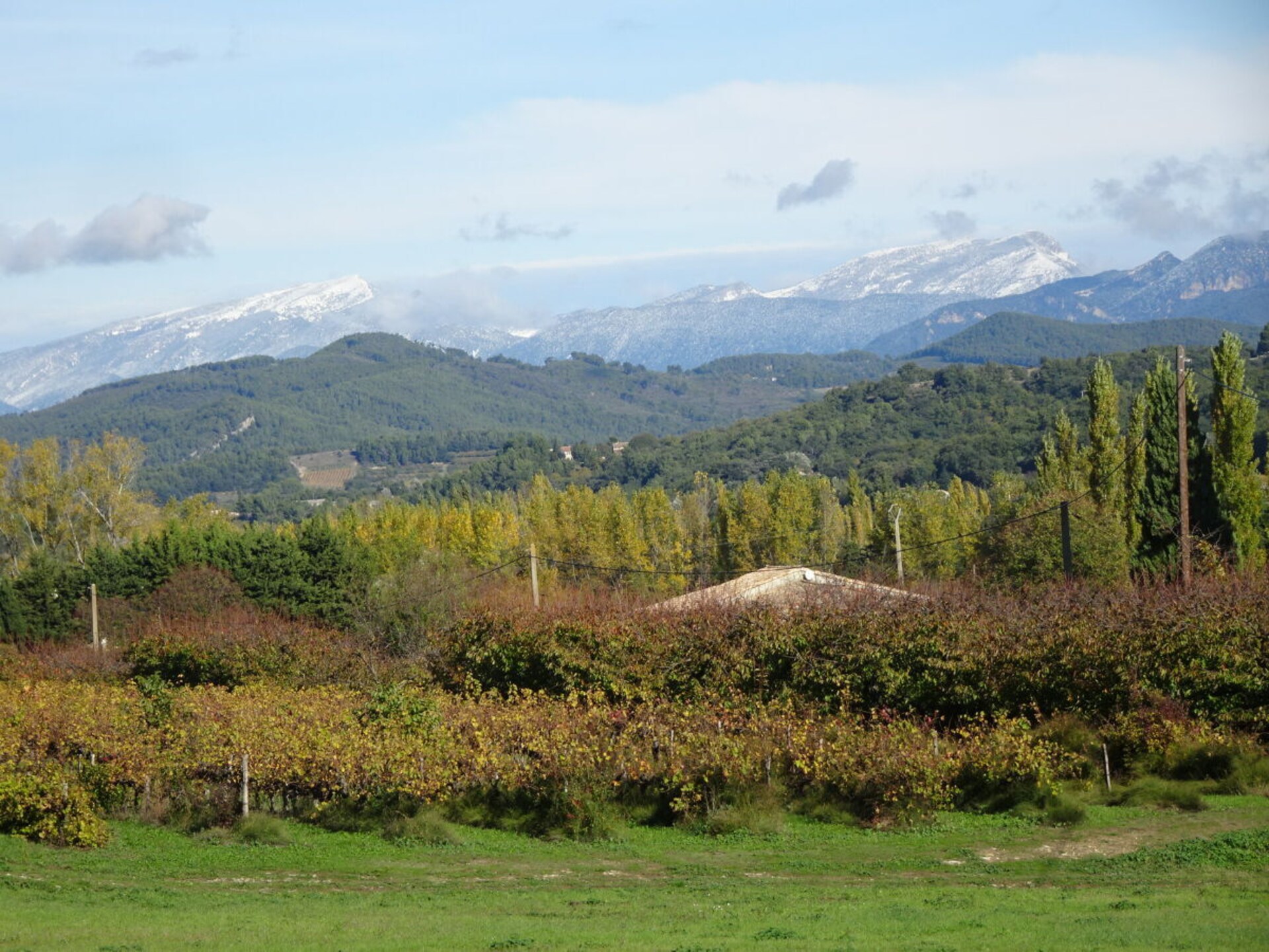 53459 - foto 18