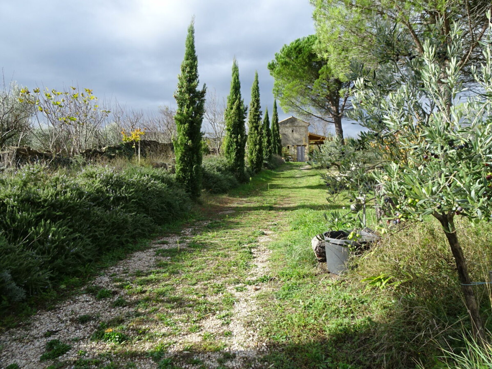 53459 - foto 19
