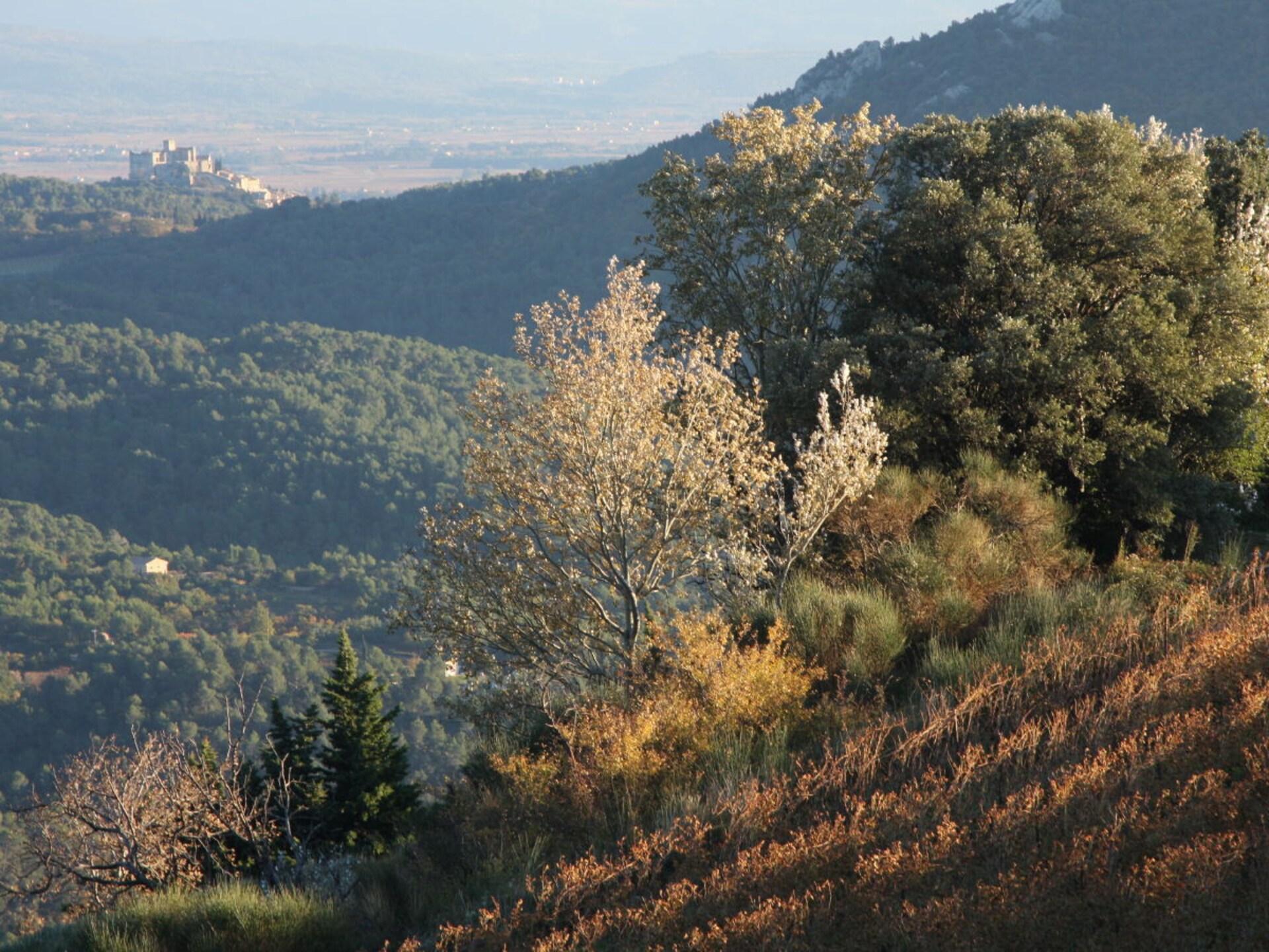 53459 - foto 34