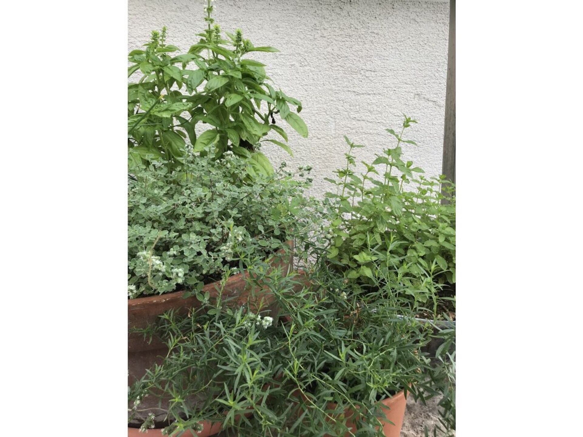 63913 - foto 5