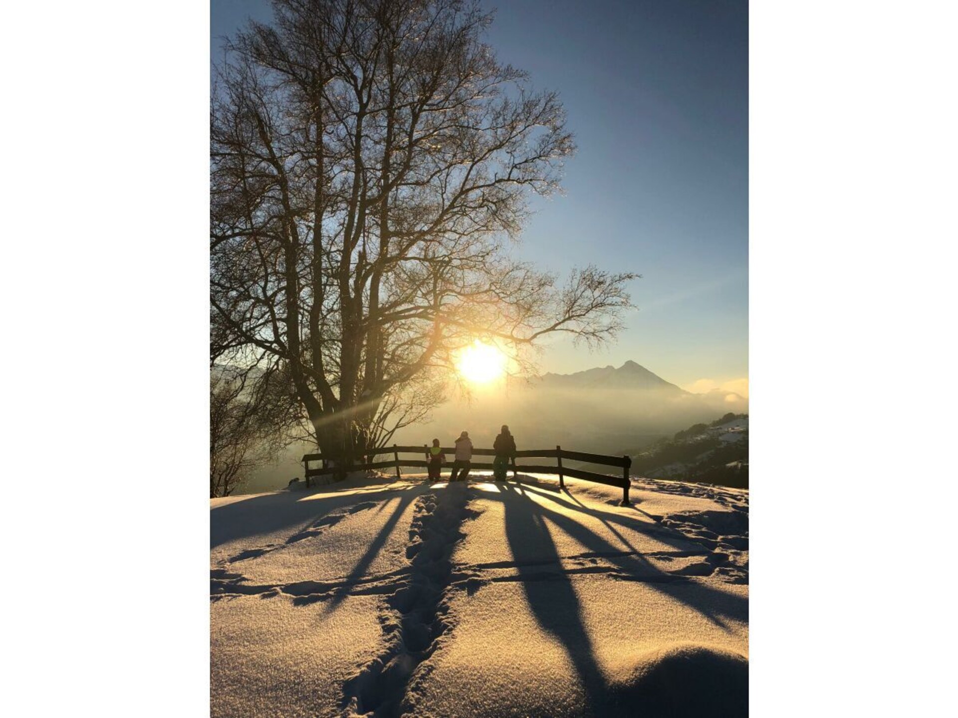 301540 - foto 29