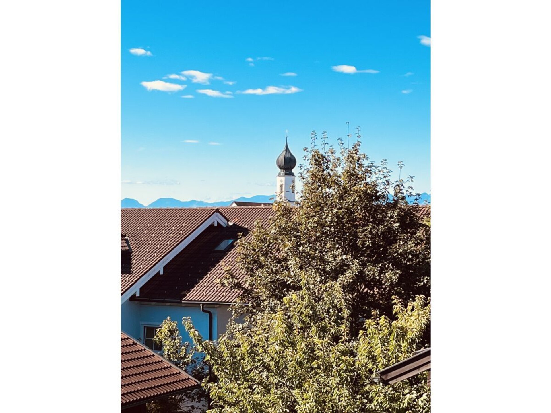 65720 - foto 4