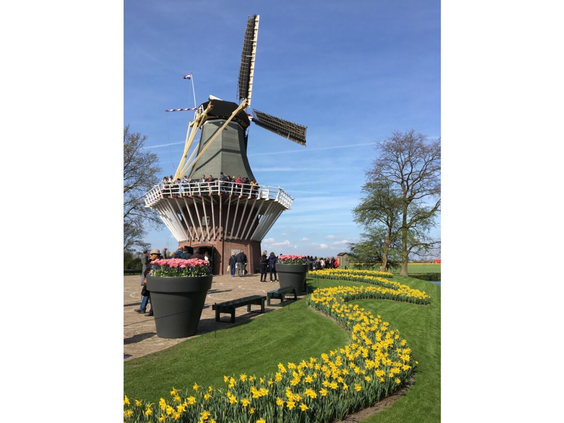468157 - foto 17