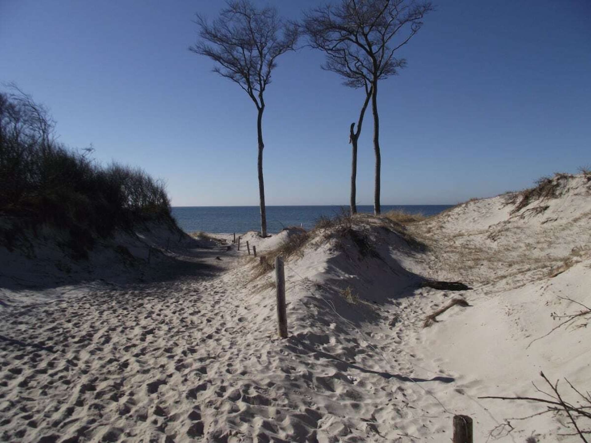 77010 - foto 12