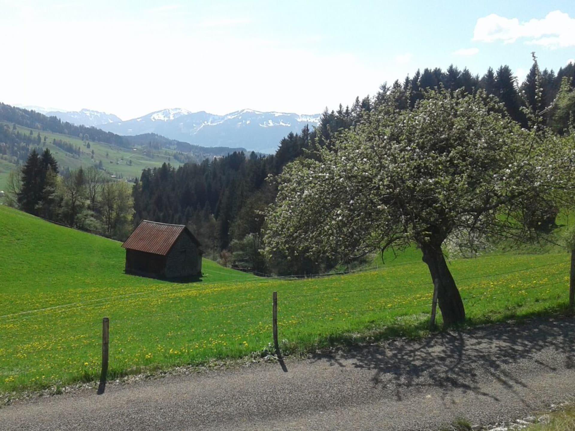 167167 - foto 19