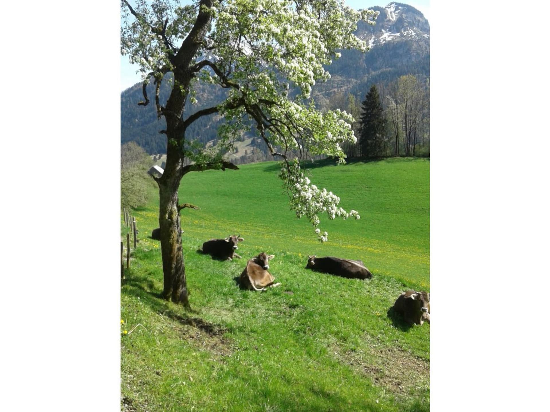 167167 - foto 20