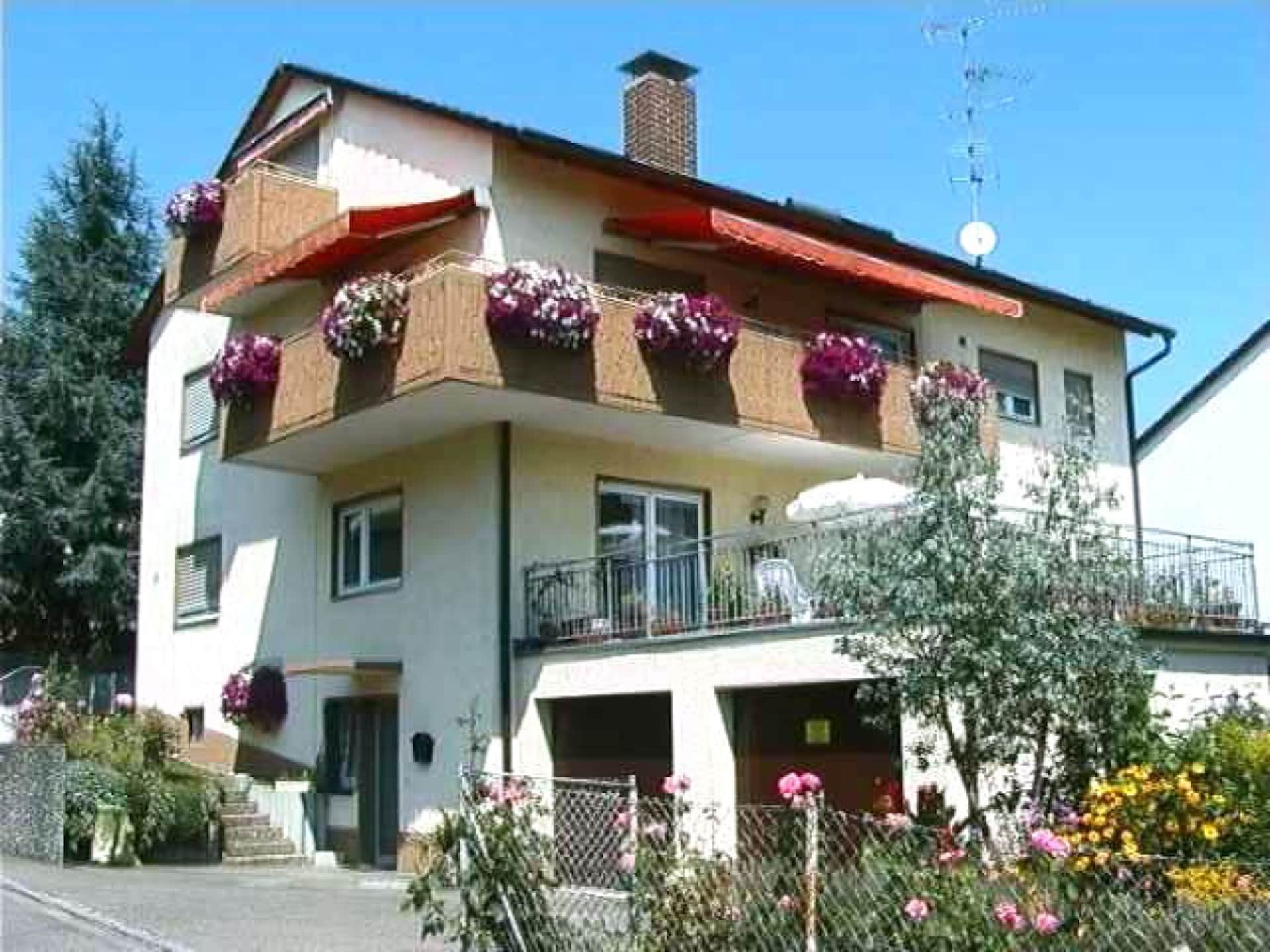 10263 - foto 2