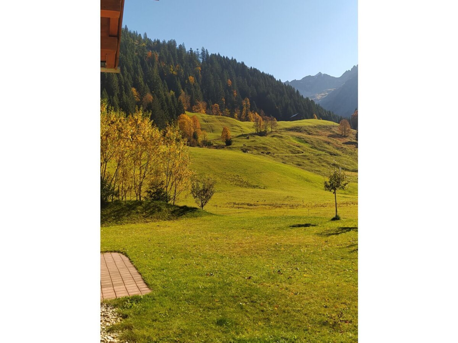 117193 - foto 4